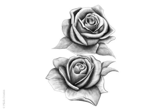 Illustration - Dessin photo réaliste au fusain de deux roses